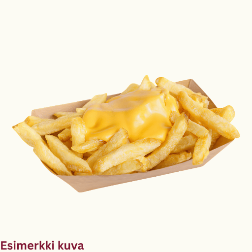 Loaded Fries (G)