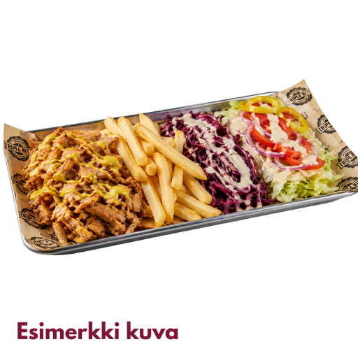 Chicken Döner with Fries