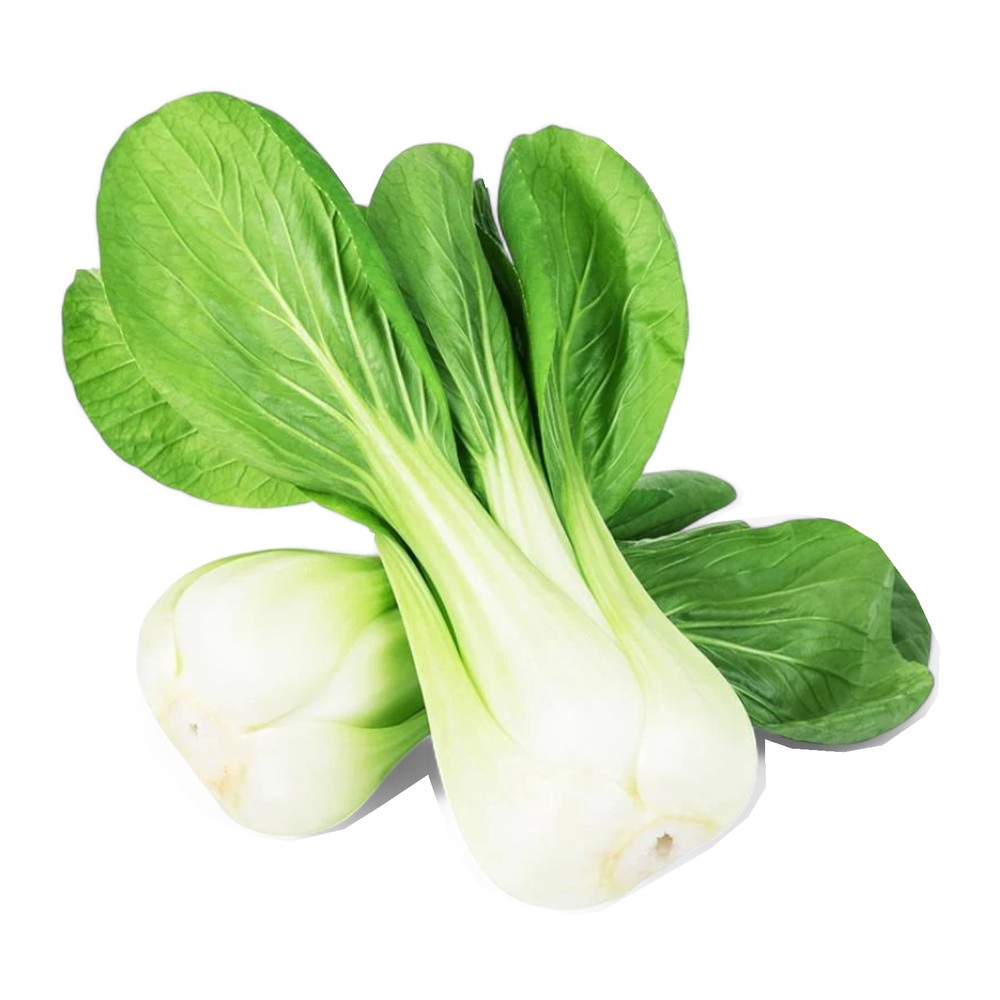 Mini Shanghai Pakchoi