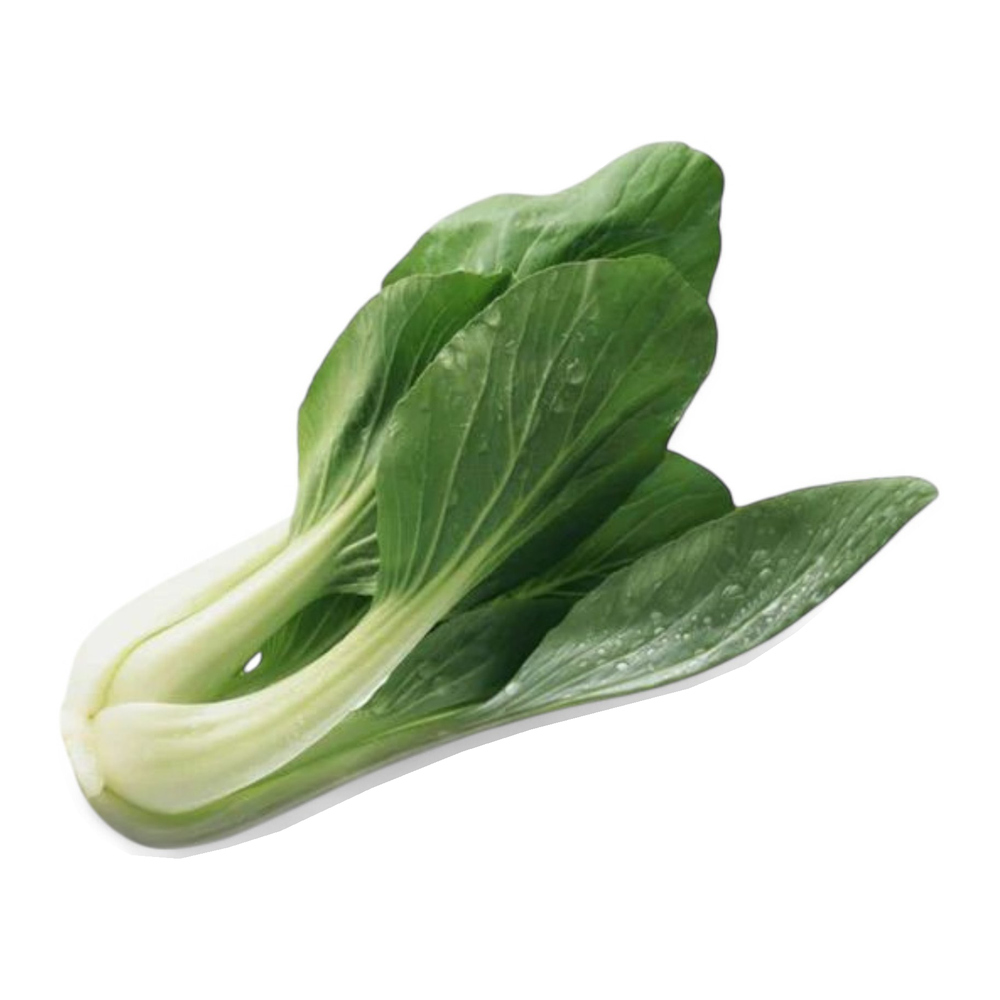 Shanghai Pakchoi