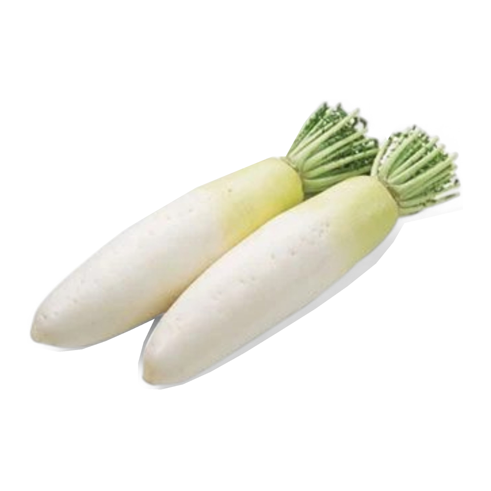 White Radish