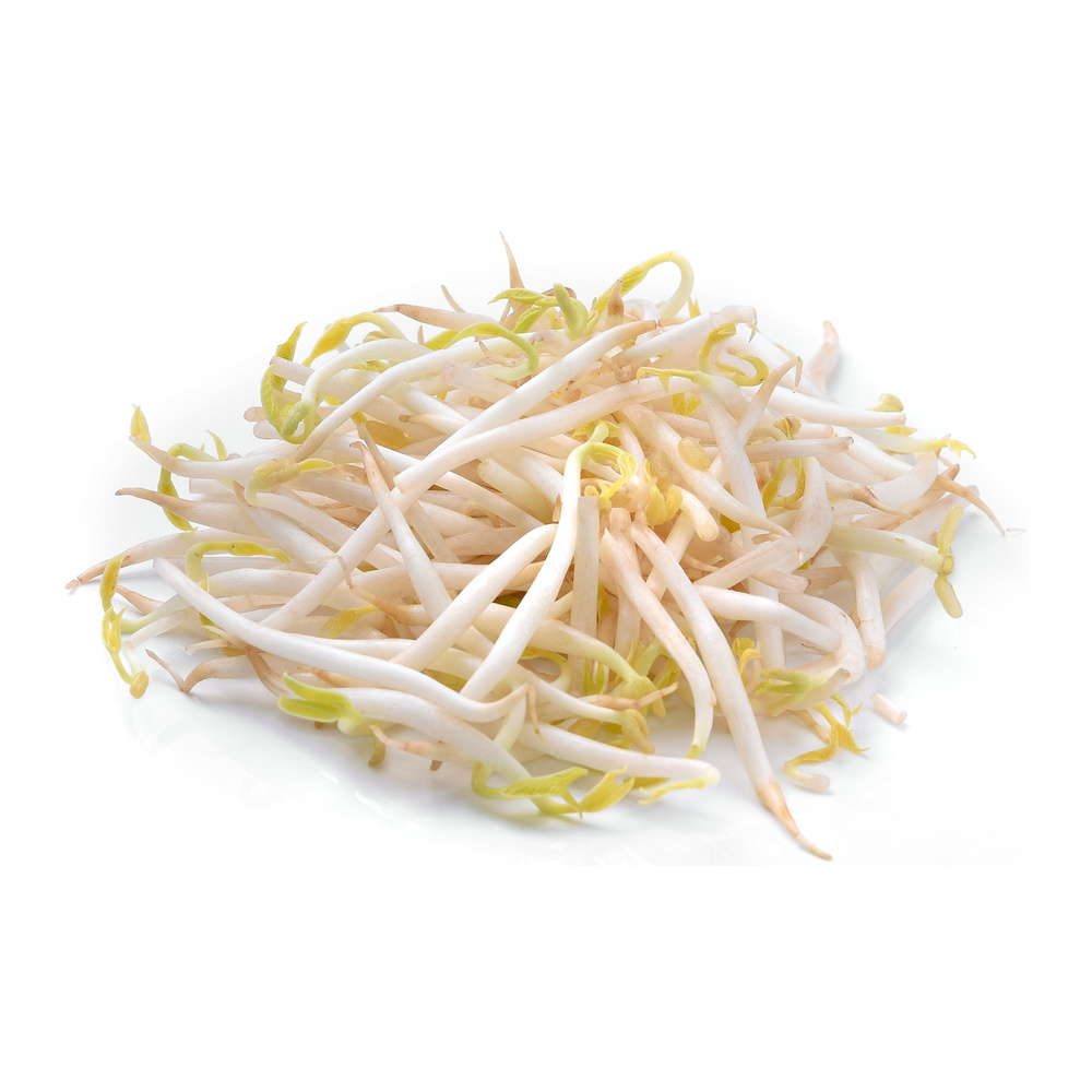 Mung Bean Sprout 500g