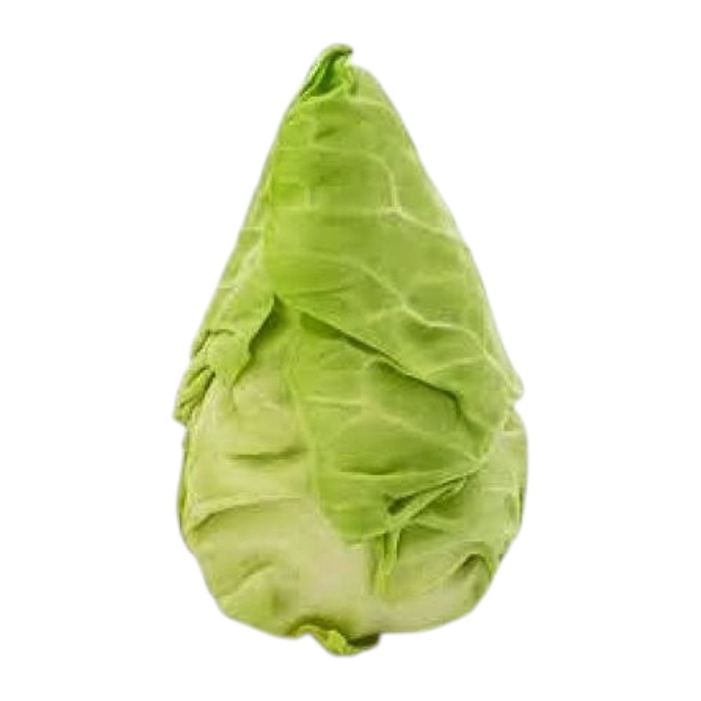 Arrowhead Cabbage