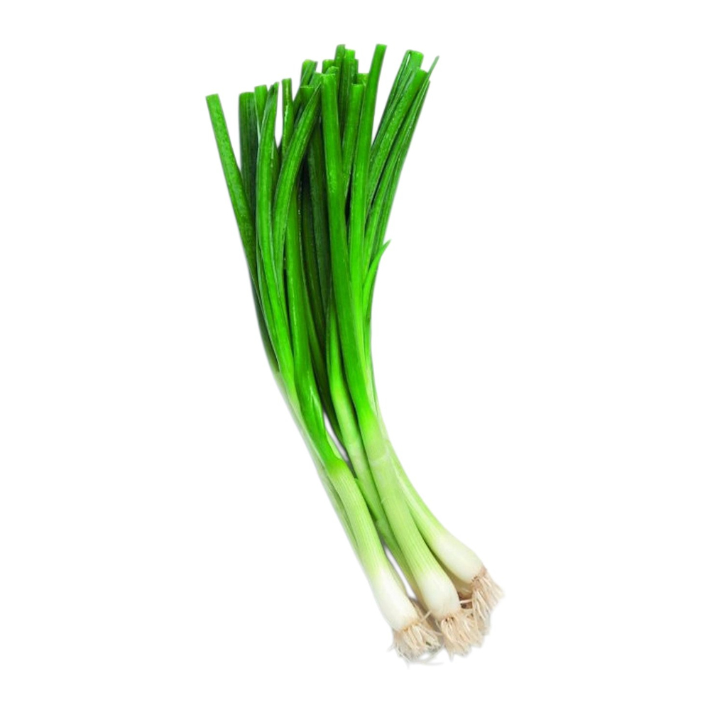 Spring Onion 1 Bundle
