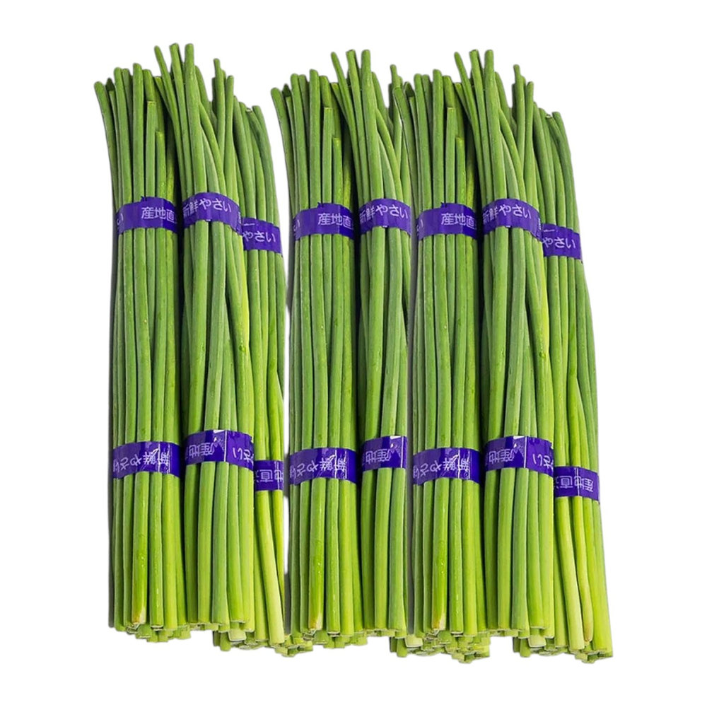 Garlic Stems 1 Bundle