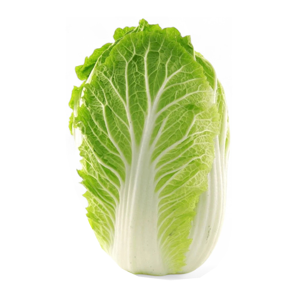 Chinese Cabbage