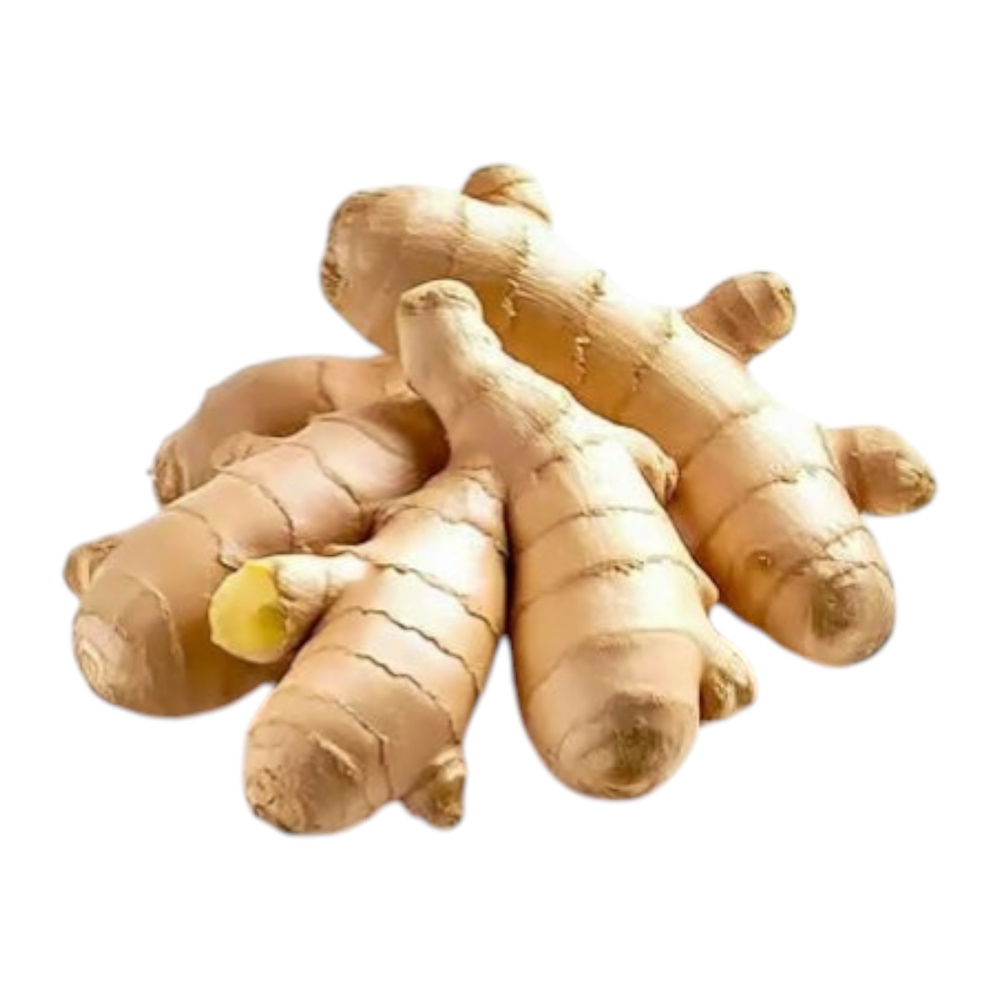 Ginger