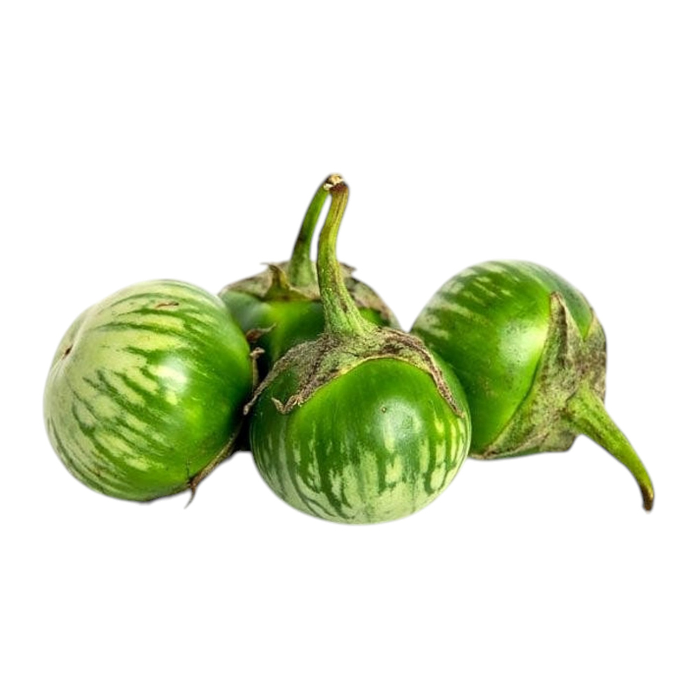 Thai Green Eggplant
