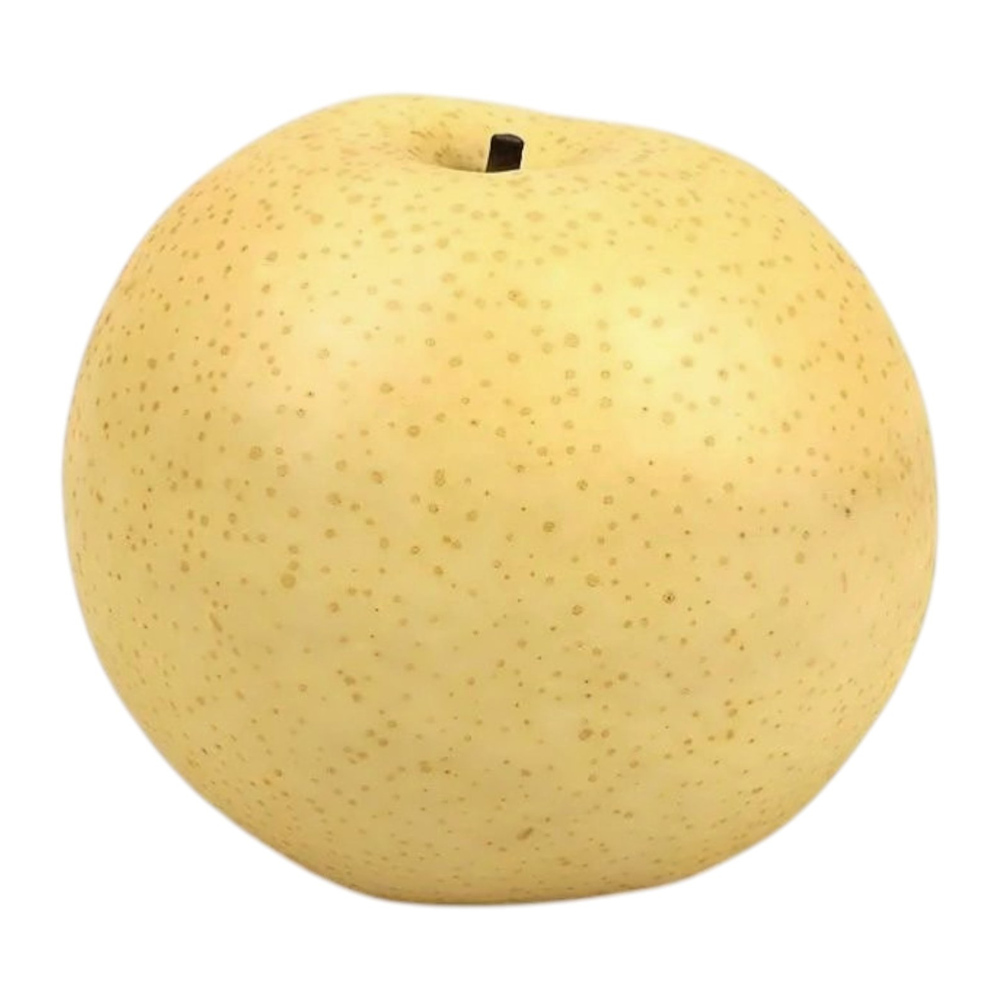 Nashi Pear