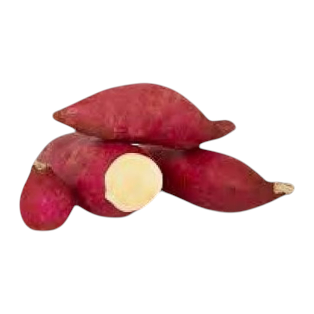 White Sweet Potato