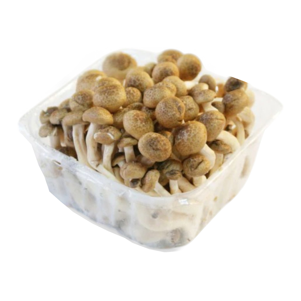 Brown Shimeji Mushroom 150g