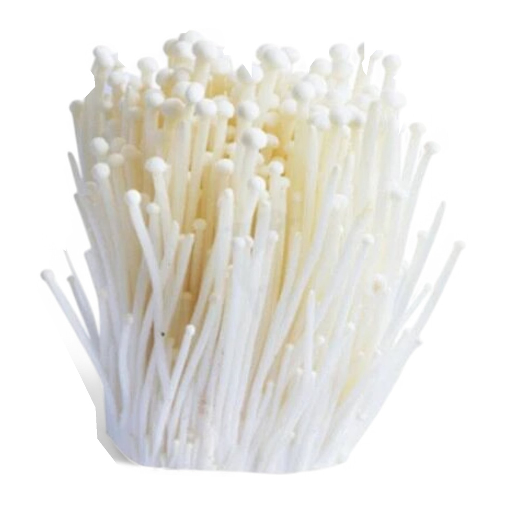 Enoki Mushroom 100g