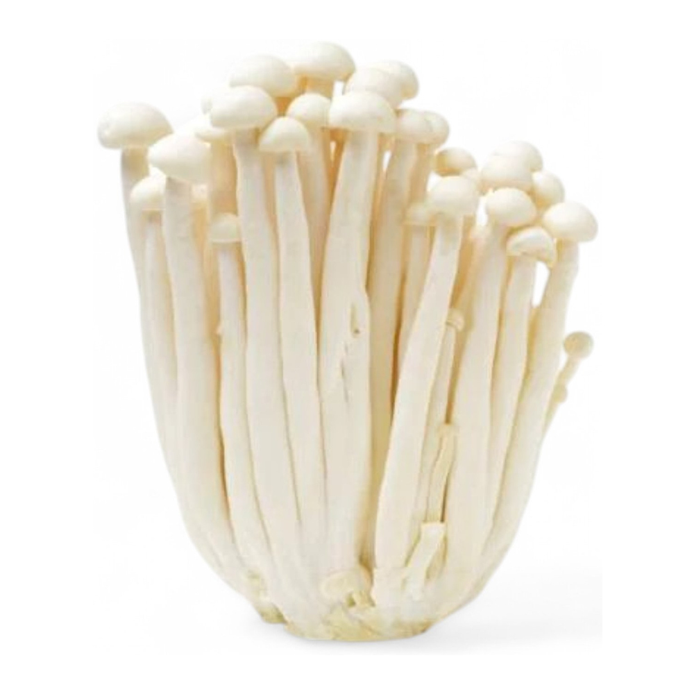 Fresh Snow Mushroom 150g